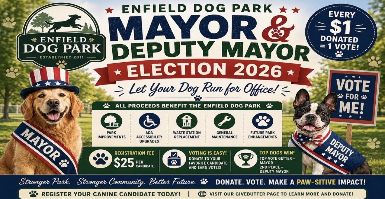 2026 Mayor & Deputy Mayor Election